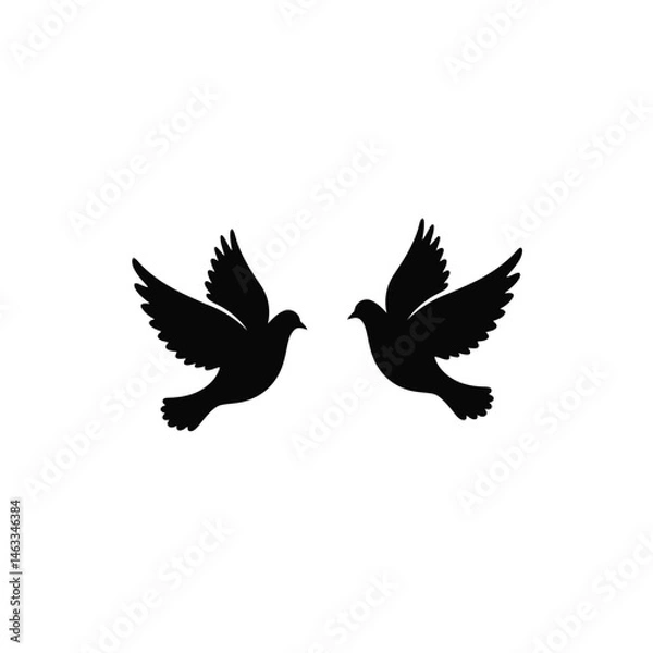 Fototapeta Two black silhouette doves flying towards each other isolated on white background