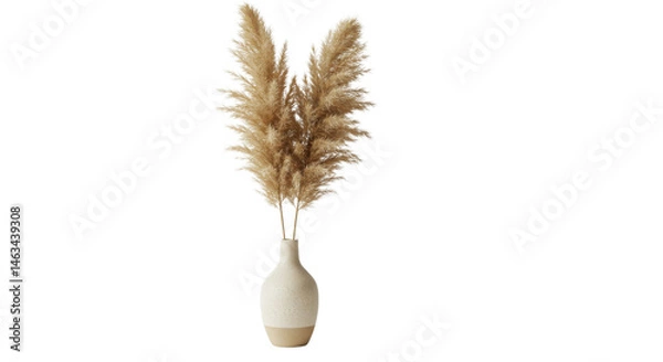 Obraz Pampas grass arrangement in a vase isolated PNG with Transparent Background