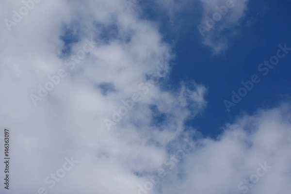 Fototapeta 青空と雲「空想・雲のモンスター（メスのライオンや犬などの動物のイメージ）