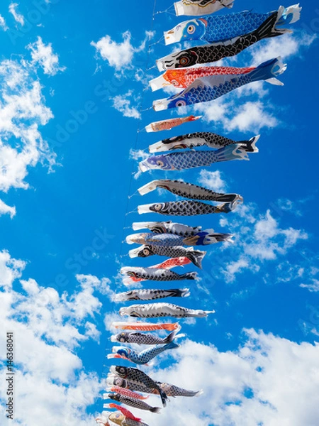 Fototapeta 鯉のぼり