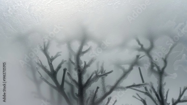 Obraz Macro Image of Frosty Patterns on Glass