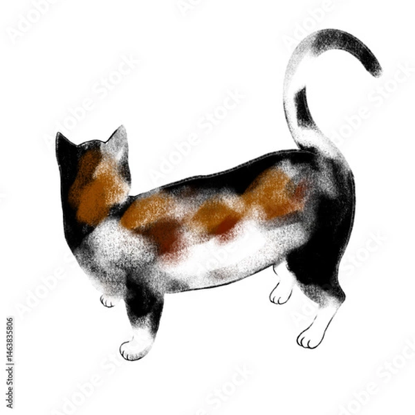 Obraz Back view of a calico cat, Back of a calico cat, Illustration of a calico cat, Back of a cat