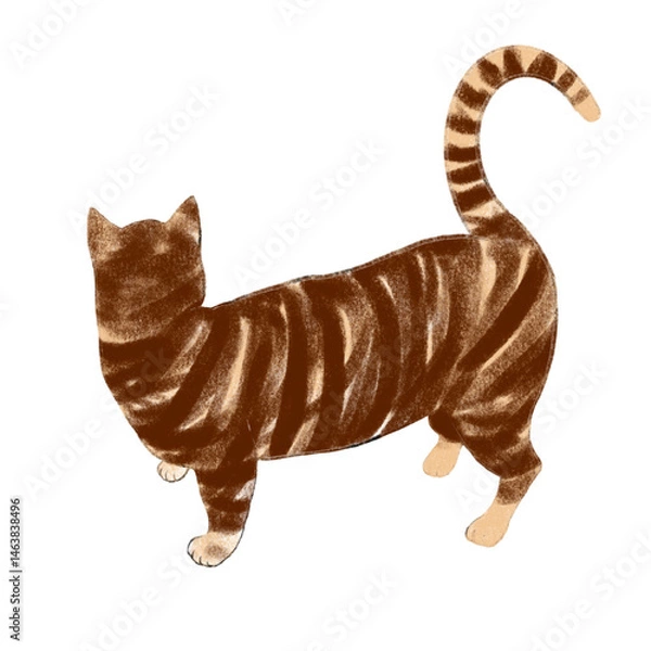 Obraz illustration of a tabby cat from behind, illustration of a toraneko's back, illustration of a tiger cat