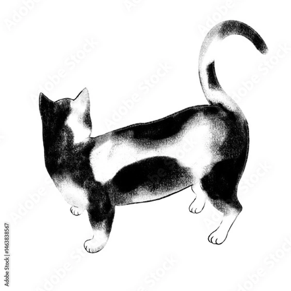 Obraz Back view of a bicolor cat, Back of a bicolor cat, Illustration of a bicolor cat, Back of a cat