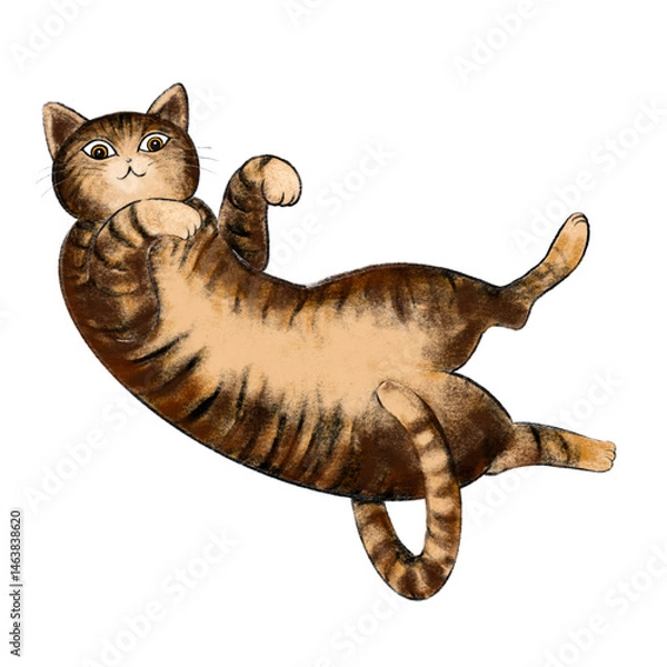 Fototapeta An illustration of a tabby cat lying on its back with its belly exposed, also known as a toraneko, resting in a relaxed pose.
