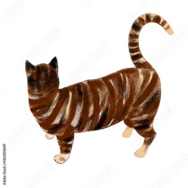 Obraz An illustration of a tabby cat in a standing pose, with its back facing the viewer and looking off to the side.