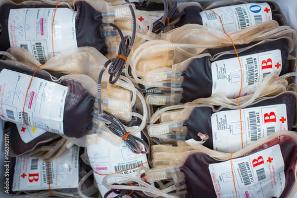 Obraz Blood bag obtained