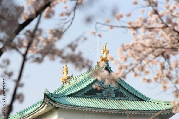 Obraz 名古屋城のしゃちほこと満開の桜