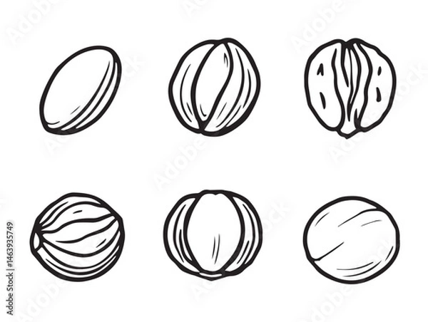 Fototapeta simple nuts line art for clean design