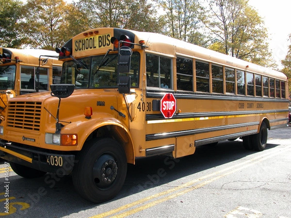 Obraz school bus