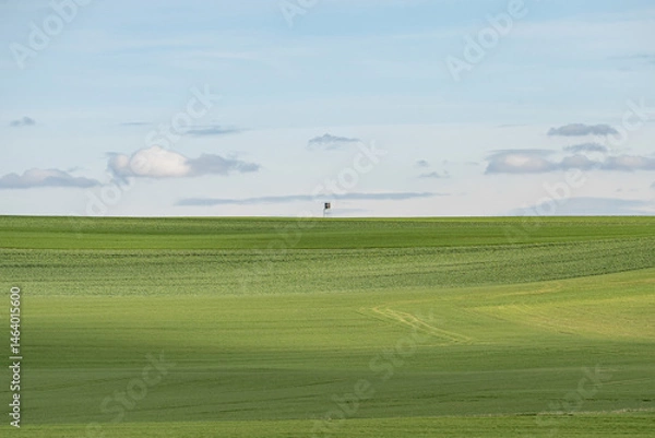 Fototapeta Scenic landscape panorama hunting seat on green meadow natural reserve Germany under a cloudy blue sky on a summer day