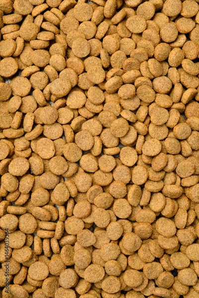 Obraz Top view. Pet Food Texture. Lot of Dry Granules of Crunchy Dog or Cat Food. Close up.