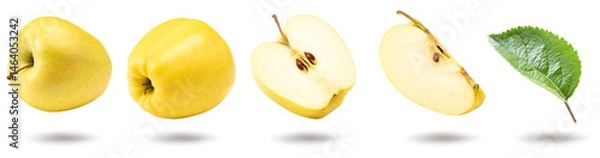 Fototapeta yellow apples isolated on white background. clipping path