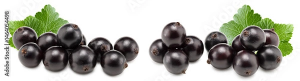 Fototapeta black currant with green leaf isolated on white background. clipping path