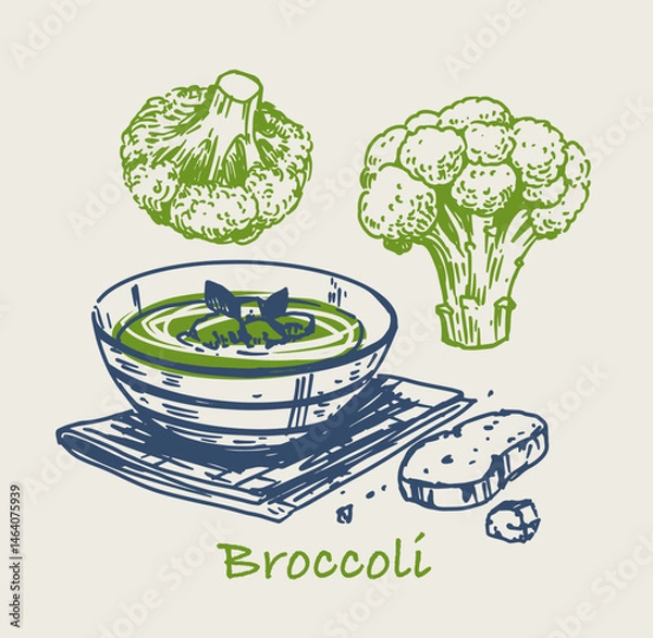 Fototapeta Broccoli, soup puree. Doodle style illustrations, vector sketches
