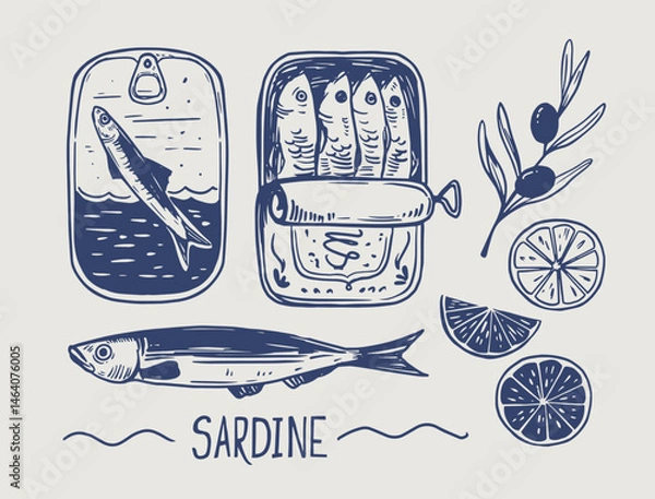 Fototapeta Sardines in a can, fish, seafood, vector illustration set, hand drawn sketch