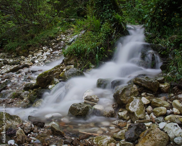 Obraz water on a creek