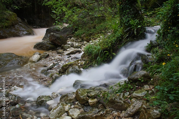 Obraz waterfall in the forest
