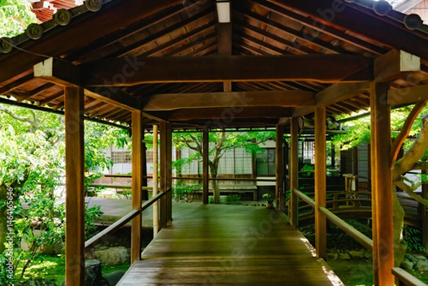 Obraz Scenery of Kyoto, Japan