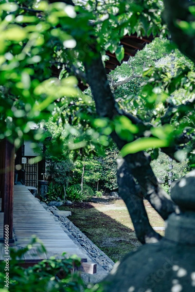 Obraz Scenery of Kyoto, Japan