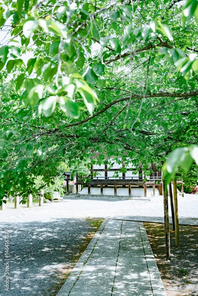 Obraz Scenery of Kyoto, Japan
