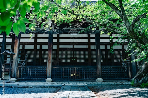 Obraz Scenery of Kyoto, Japan