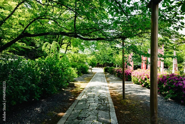 Obraz Scenery of Kyoto, Japan