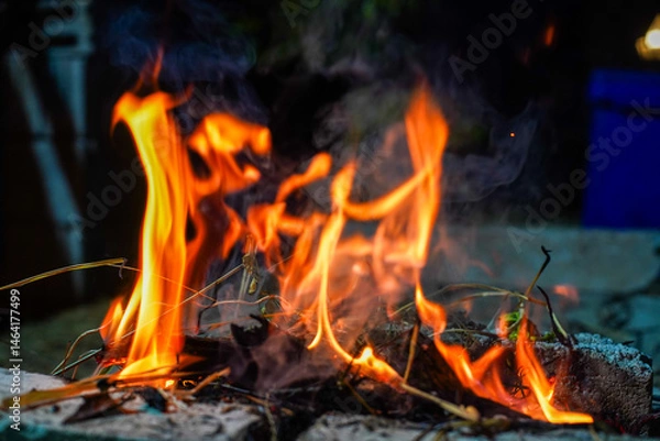 Obraz Bonfire makes fire, black background