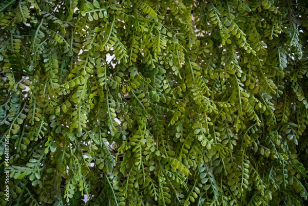 Fototapeta Artificial tree decoration for background