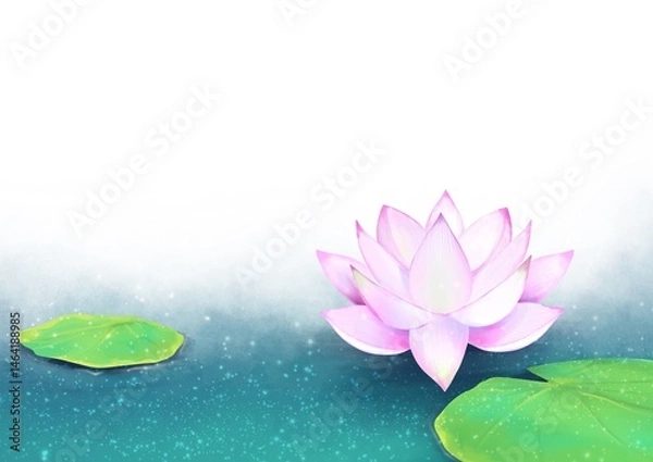 Fototapeta 綺麗な蓮の背景イラスト