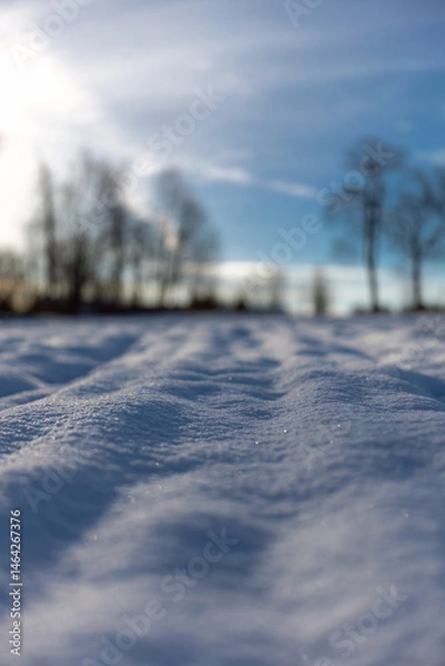 Obraz Zamarznięte ośnieżone pole. Pomorze zachodnie