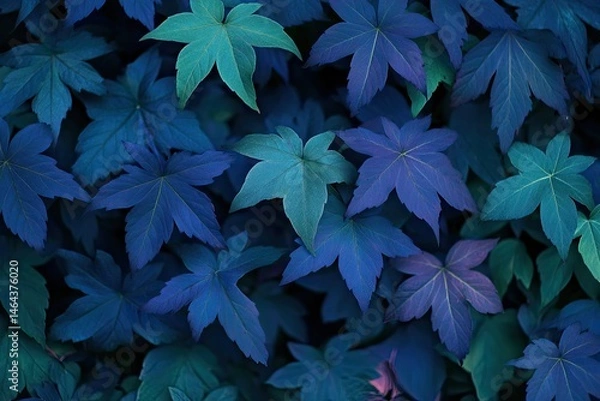 Fototapeta Vibrant foliage in shades of teal and indigo.  Densely packed leaves in various hues