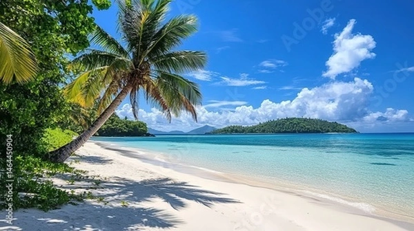 Fototapeta Tropical beach with palm trees, white sand, blue sea, and distant forest.