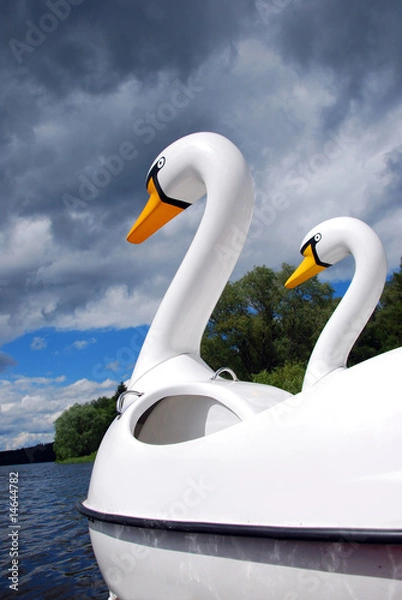Obraz swan boat