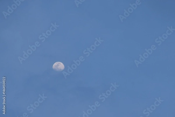 Fototapeta half moon floating on blue sky in twilight background 