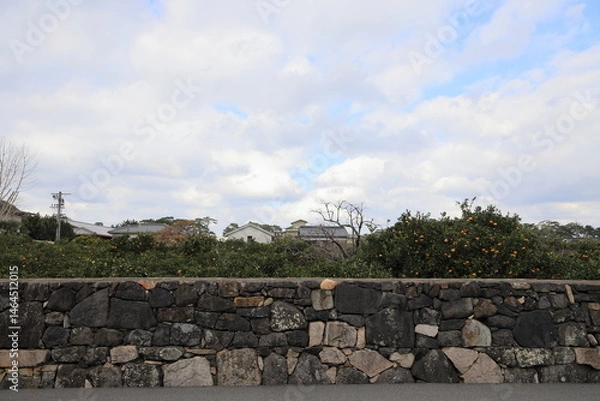 Fototapeta 萩城下町 (旧上級武家地) (山口)