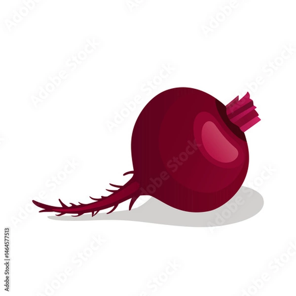 Obraz Beetroot or beet root, a juicy vegetable ingredient for making juice and food.