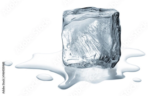 Obraz ice cube melting