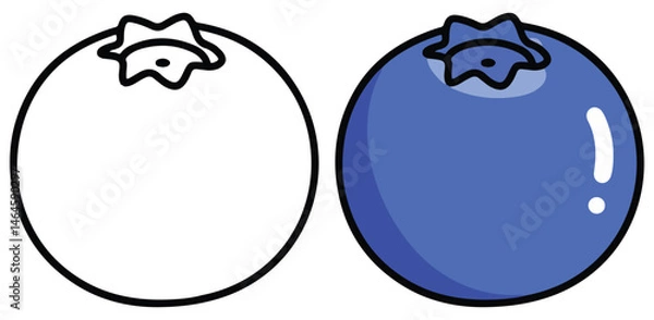 Obraz Blueberry Fruits Line Art Vector Outline Illustration Black and White with Coloring Sample