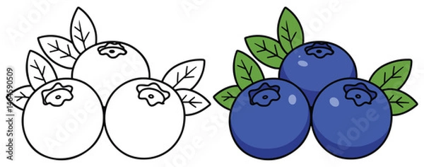 Obraz Blueberry Fruits Line Art Vector Outline Illustration Black and White with Coloring Sample