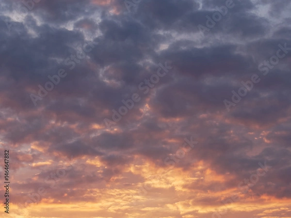 Obraz sunset in the sky
