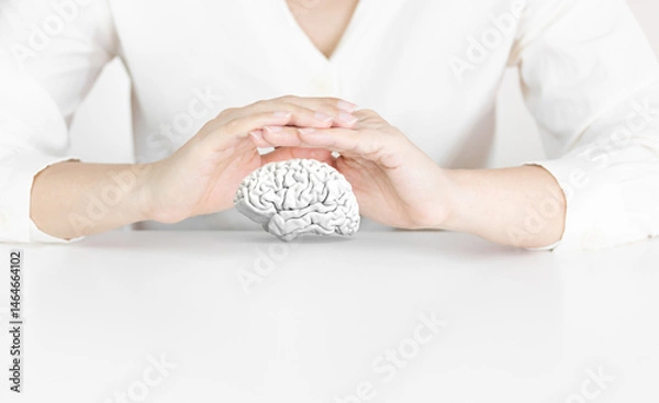 Fototapeta Human Hands Protecting White Brain Model on Clean White Background