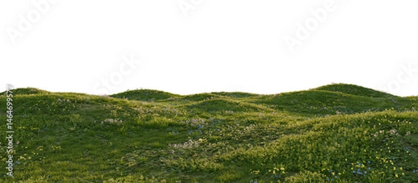 Obraz Hills with grass on a transparent background. 3D rendering.