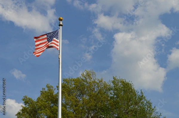 Obraz American flag waving in the breeze in front of blue sky and green tree.