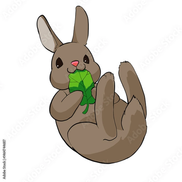 Obraz 転がっているうさぎのイラスト