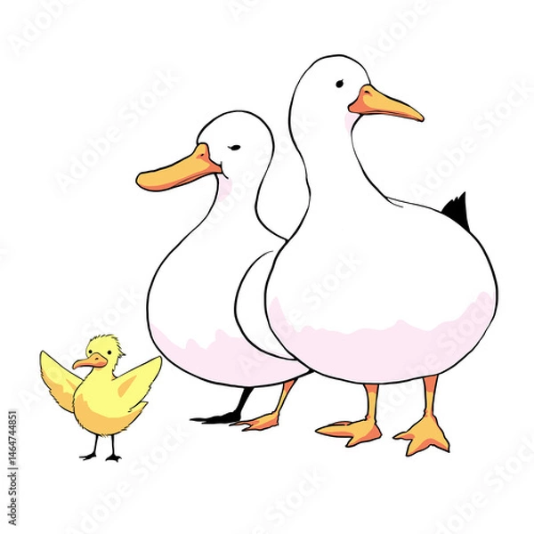 Obraz アヒルの家族のイラスト
