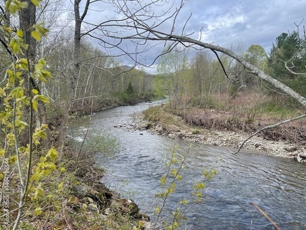 Obraz Springtime river bend
