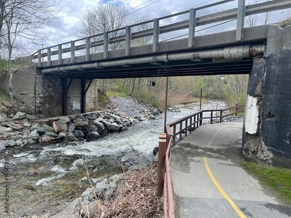 Obraz A walking bridge crosses a river in the Vermont countryside