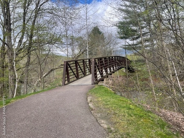 Obraz A walking bridge crosses a river in the Vermont countryside