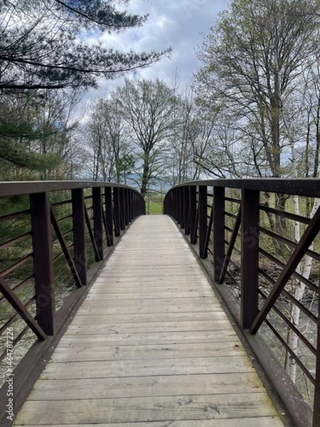 Obraz A walking bridge crosses a river in the Vermont countryside